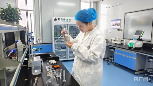 阜康雙輪驅動 科技創新引領綠色產業升級與網絡技術服務發展